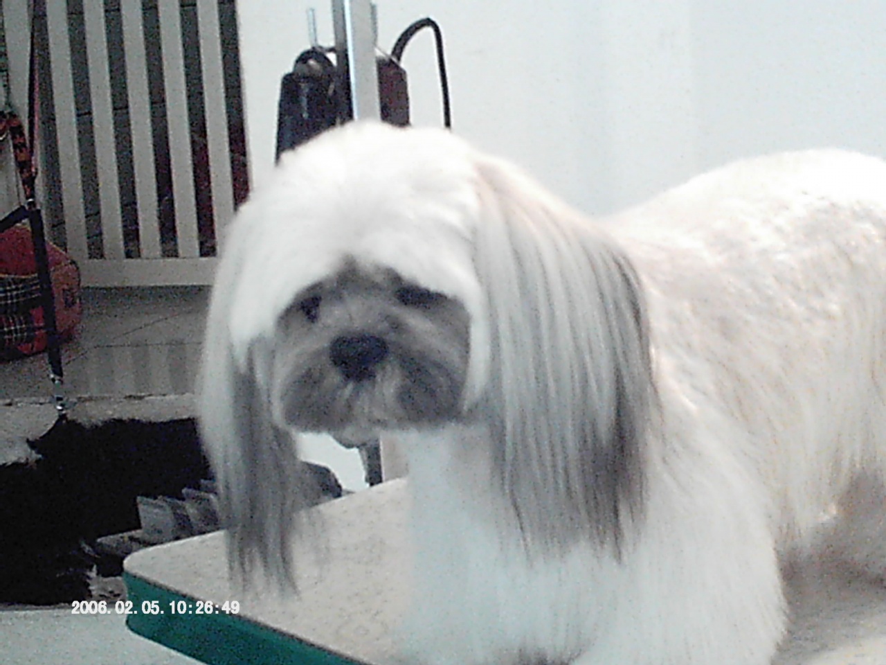 IMAG0005