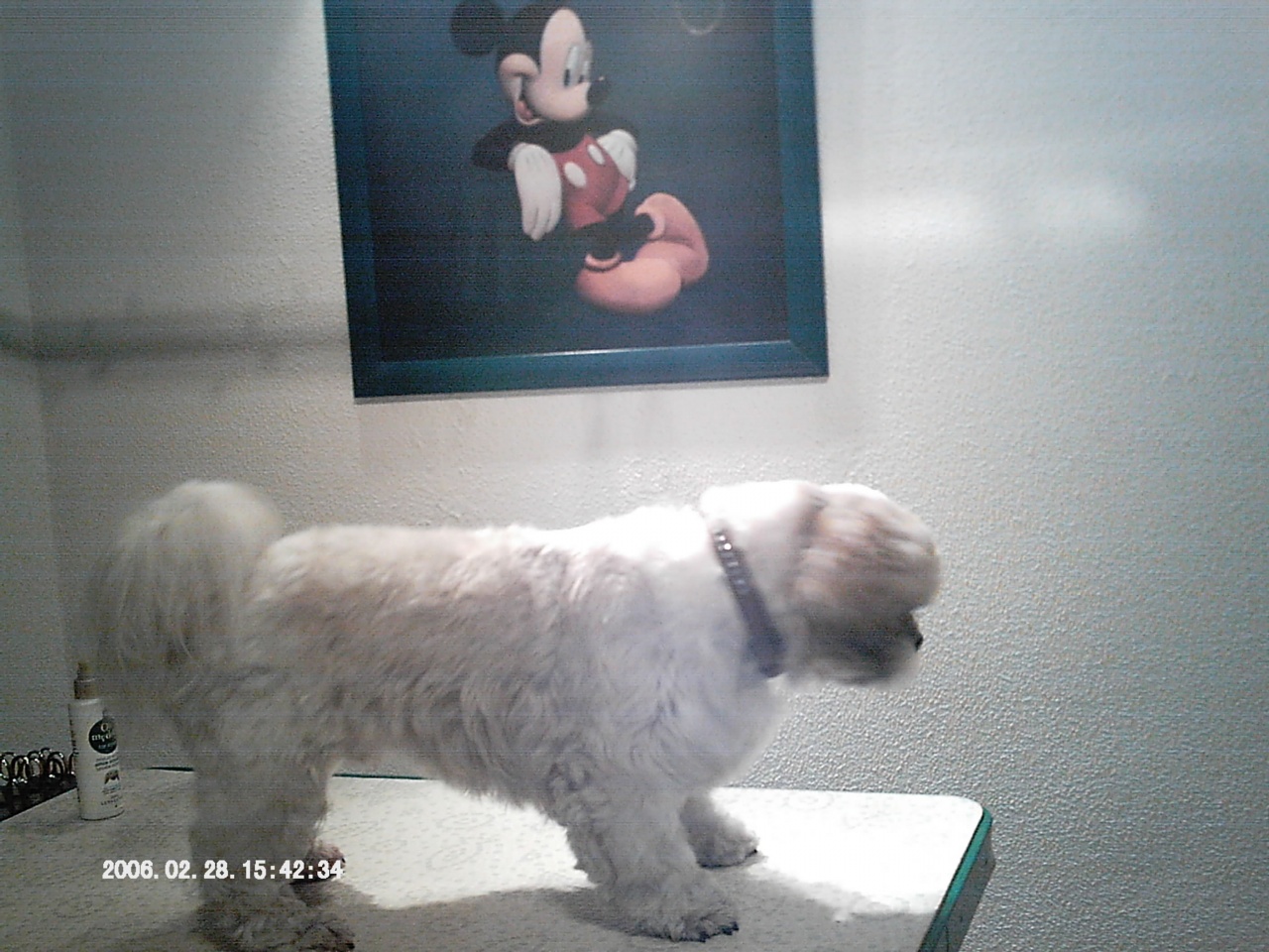 IMAG0008