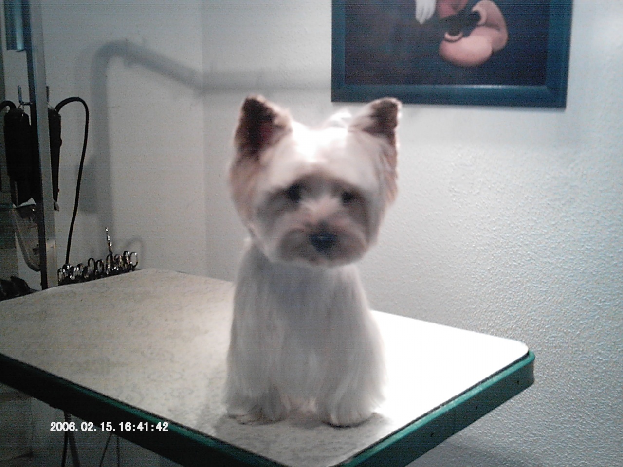IMAG0009