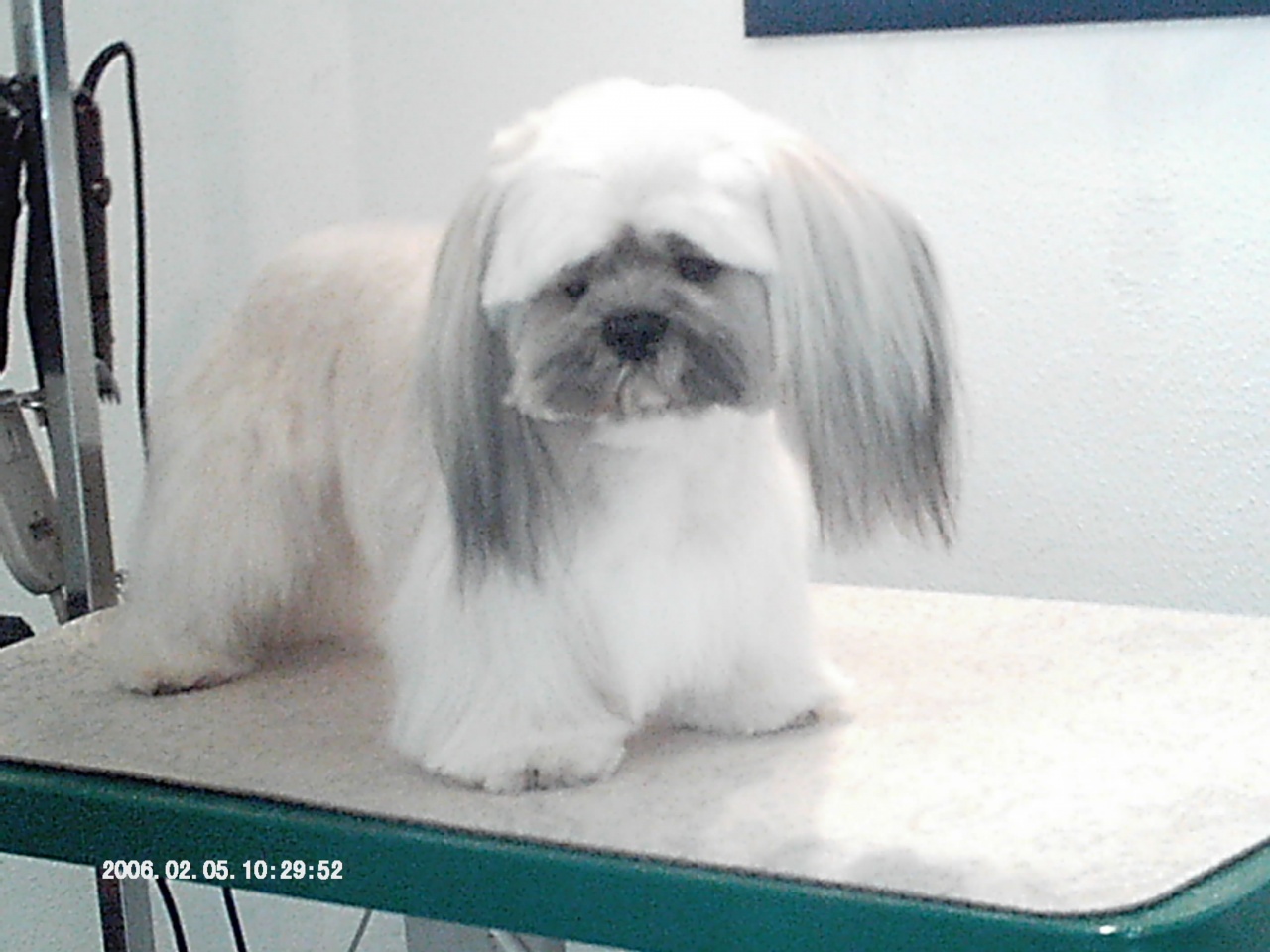 IMAG0011
