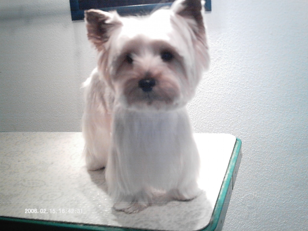 IMAG0011