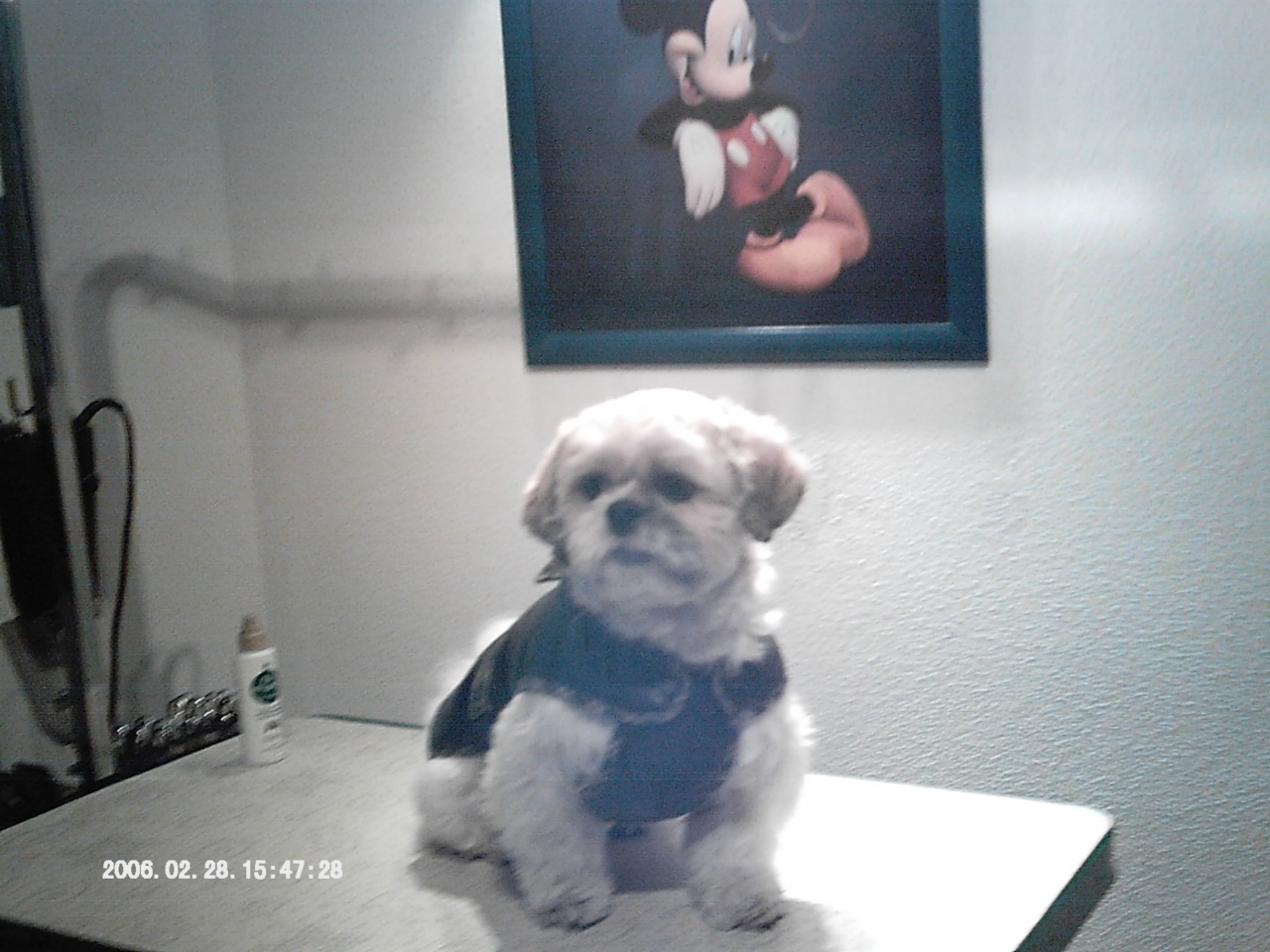 IMAG0011