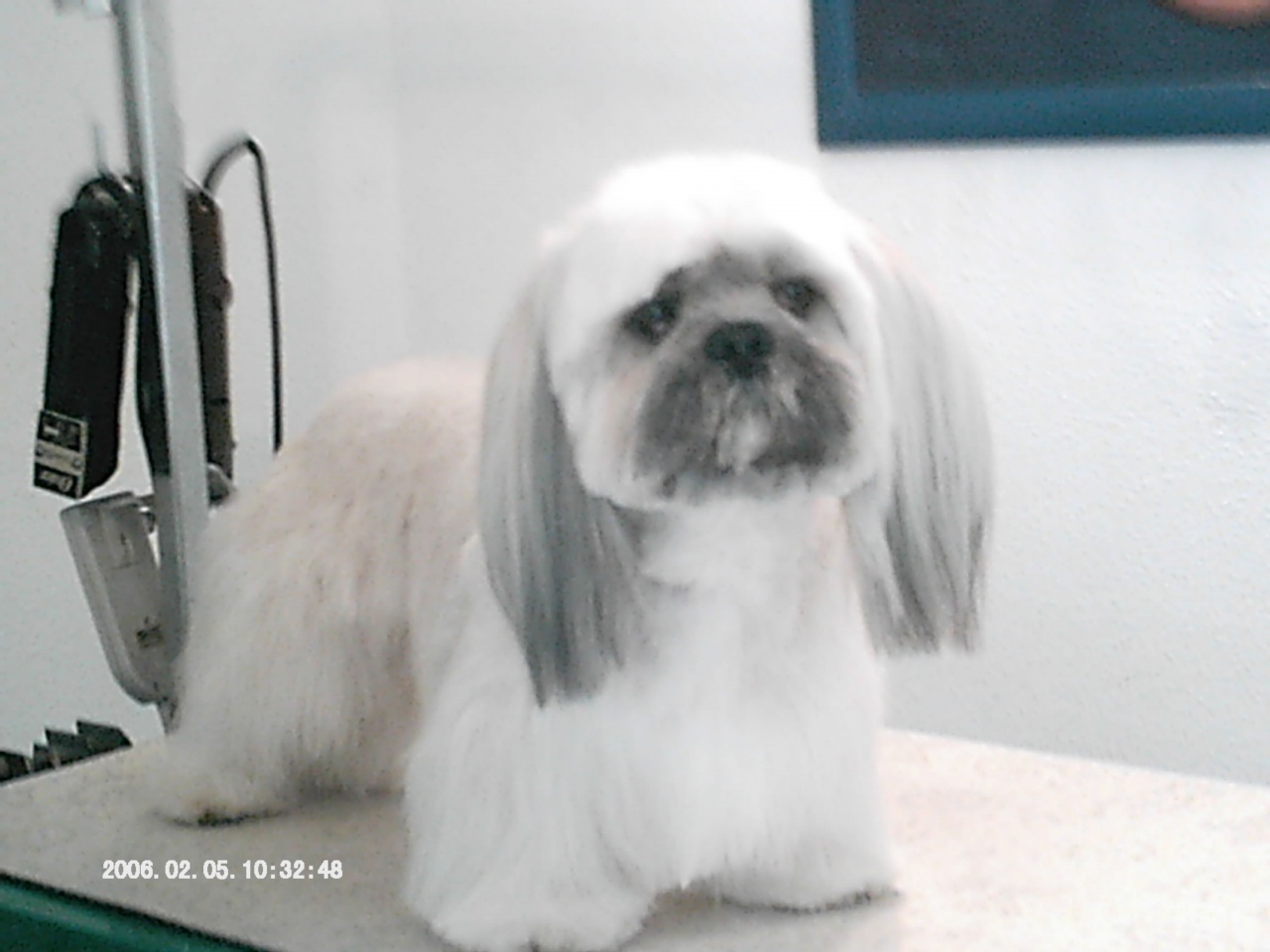 IMAG0012