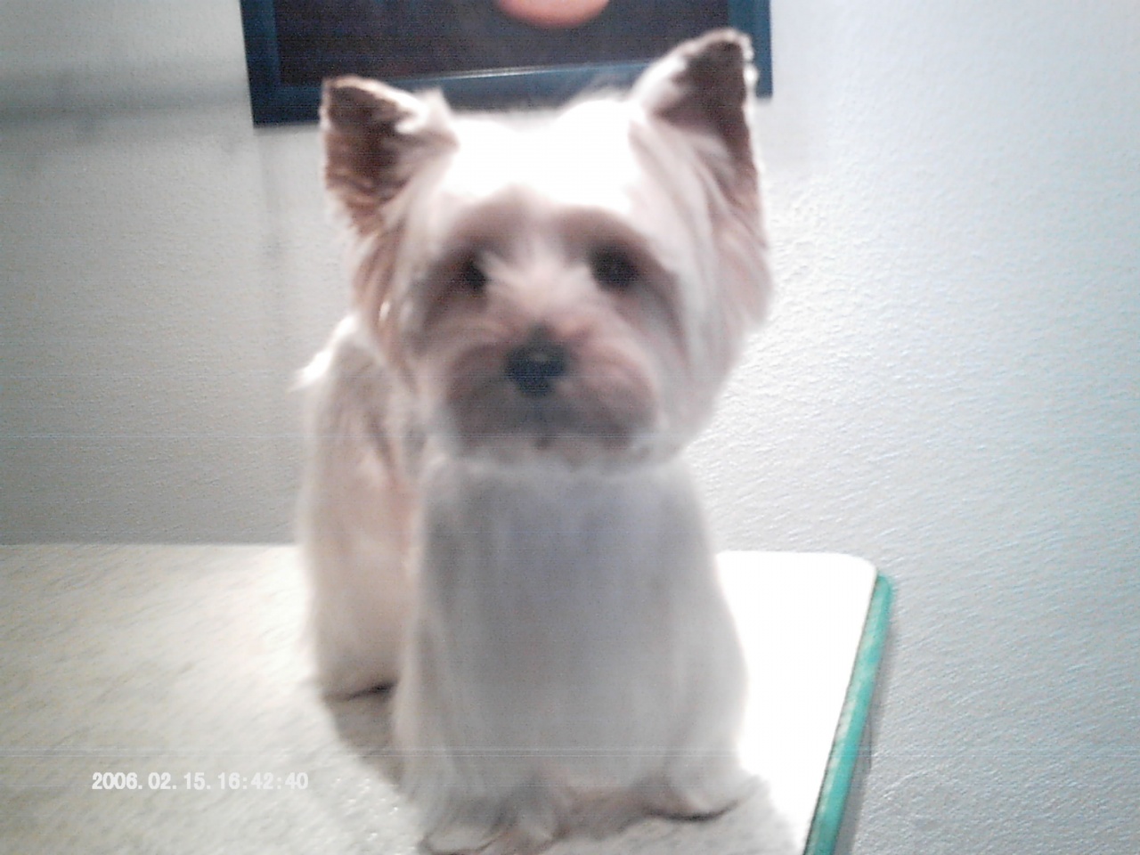 IMAG0012
