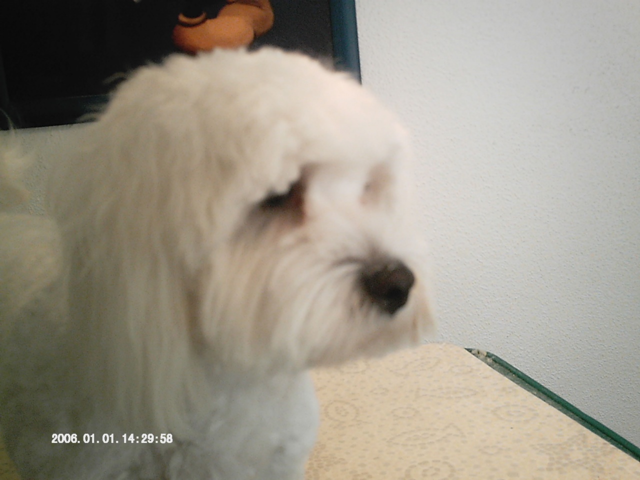 IMAG0012