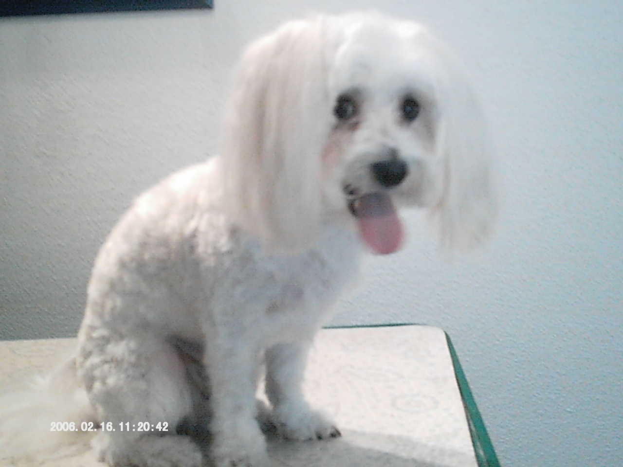 IMAG0016