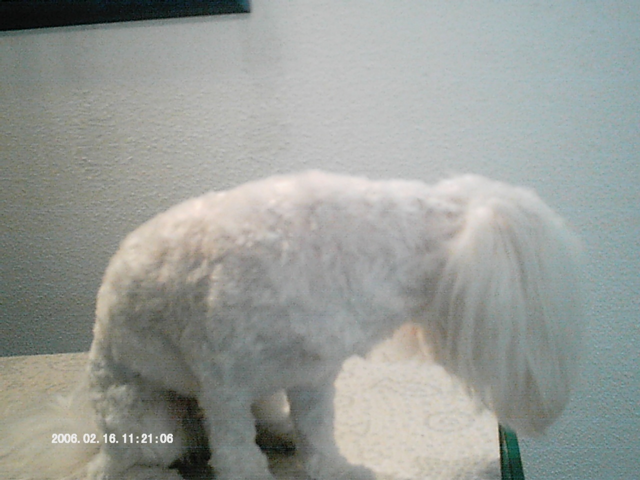 IMAG0017