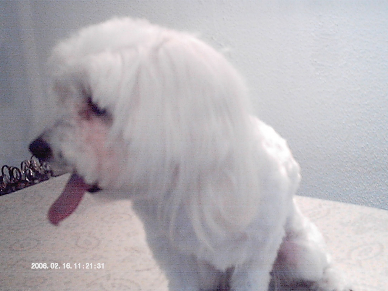 IMAG0019