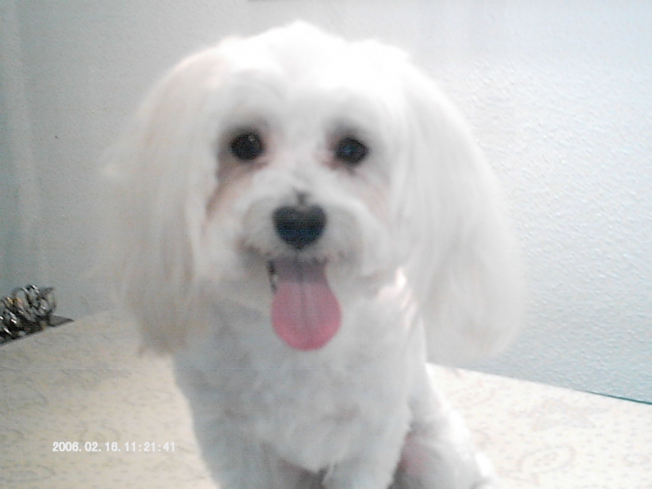 IMAG0020