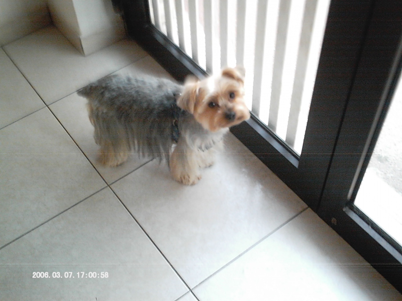 IMAG0022