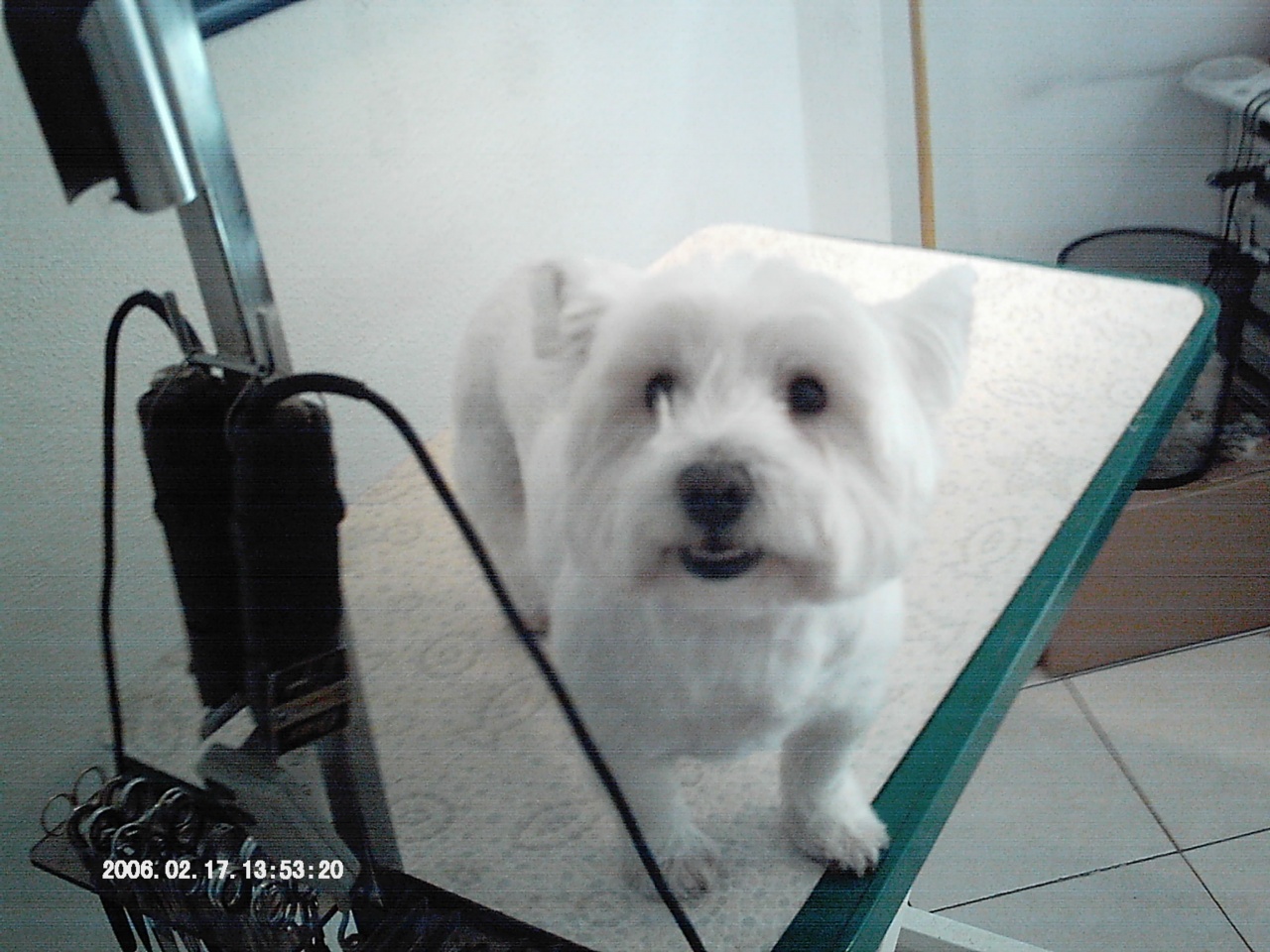 IMAG0023