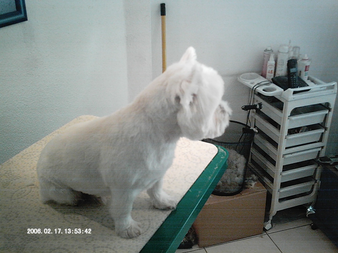 IMAG0024