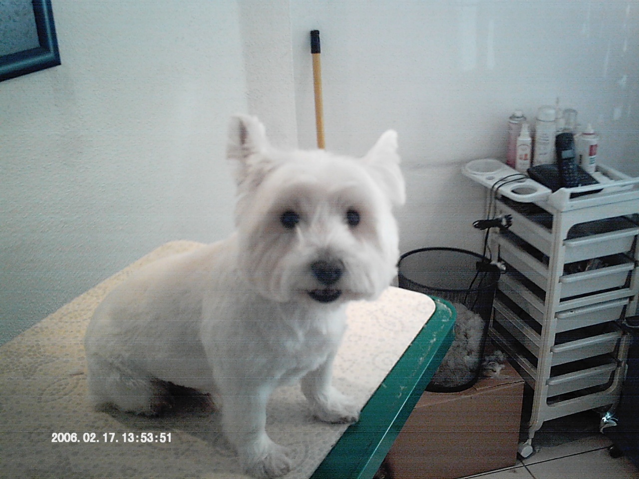 IMAG0025
