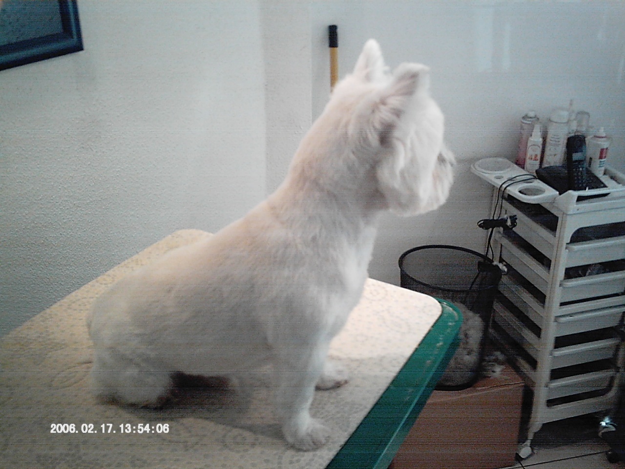 IMAG0026
