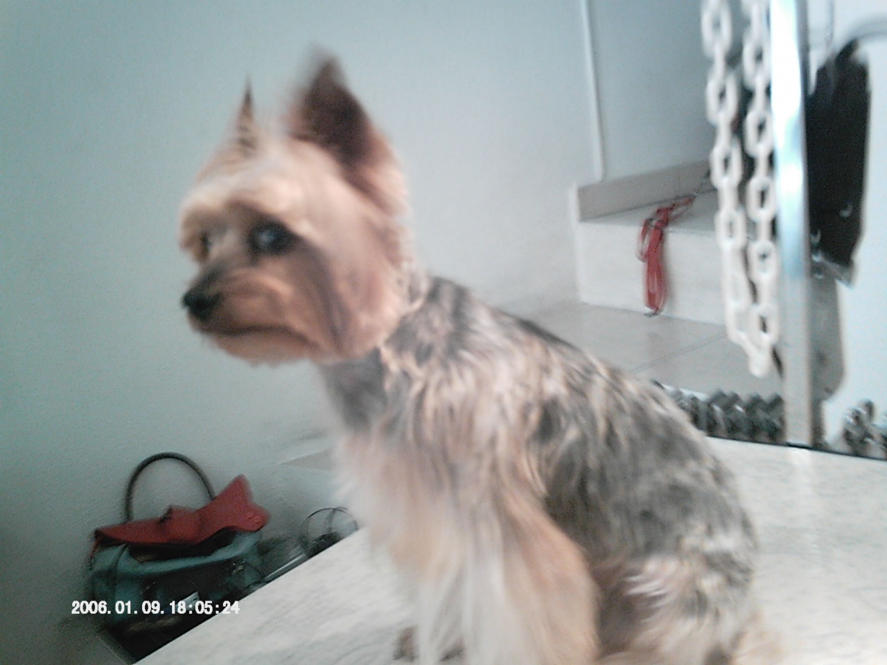 IMAG0027