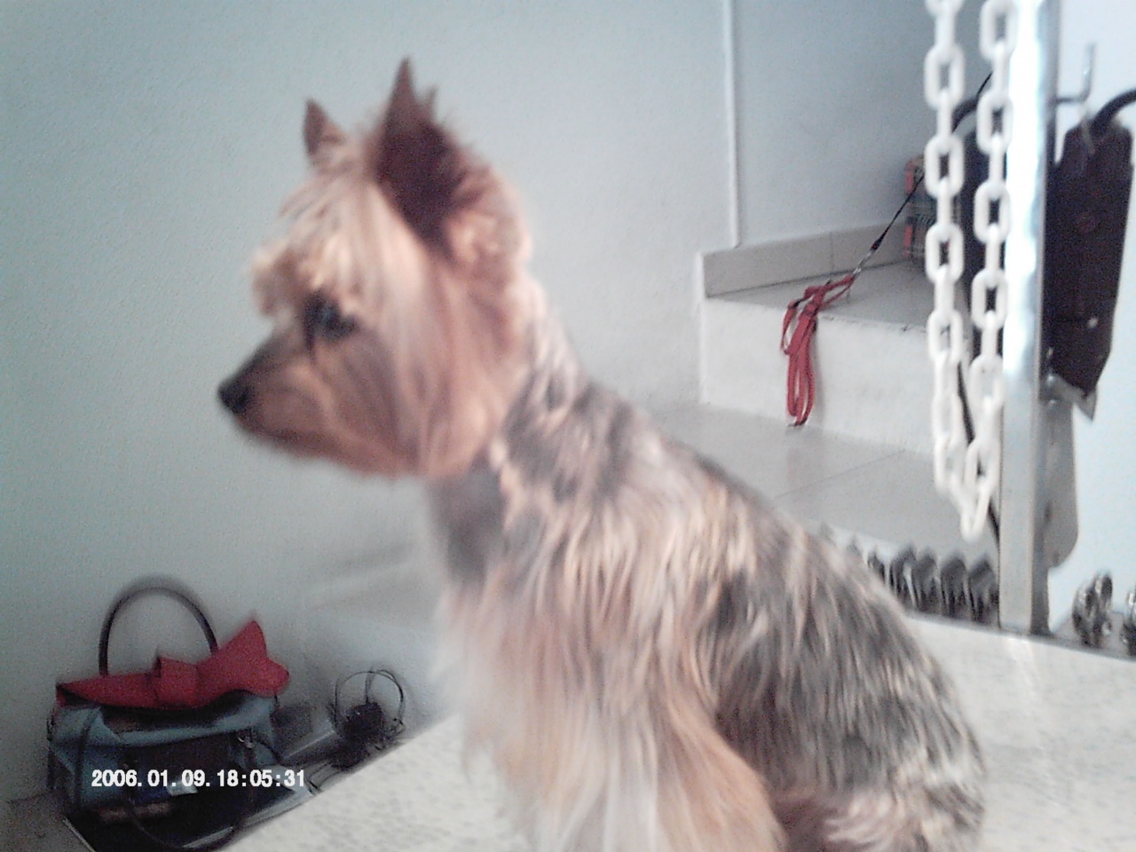 IMAG0028