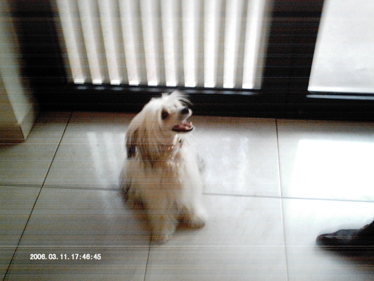 IMAG0029