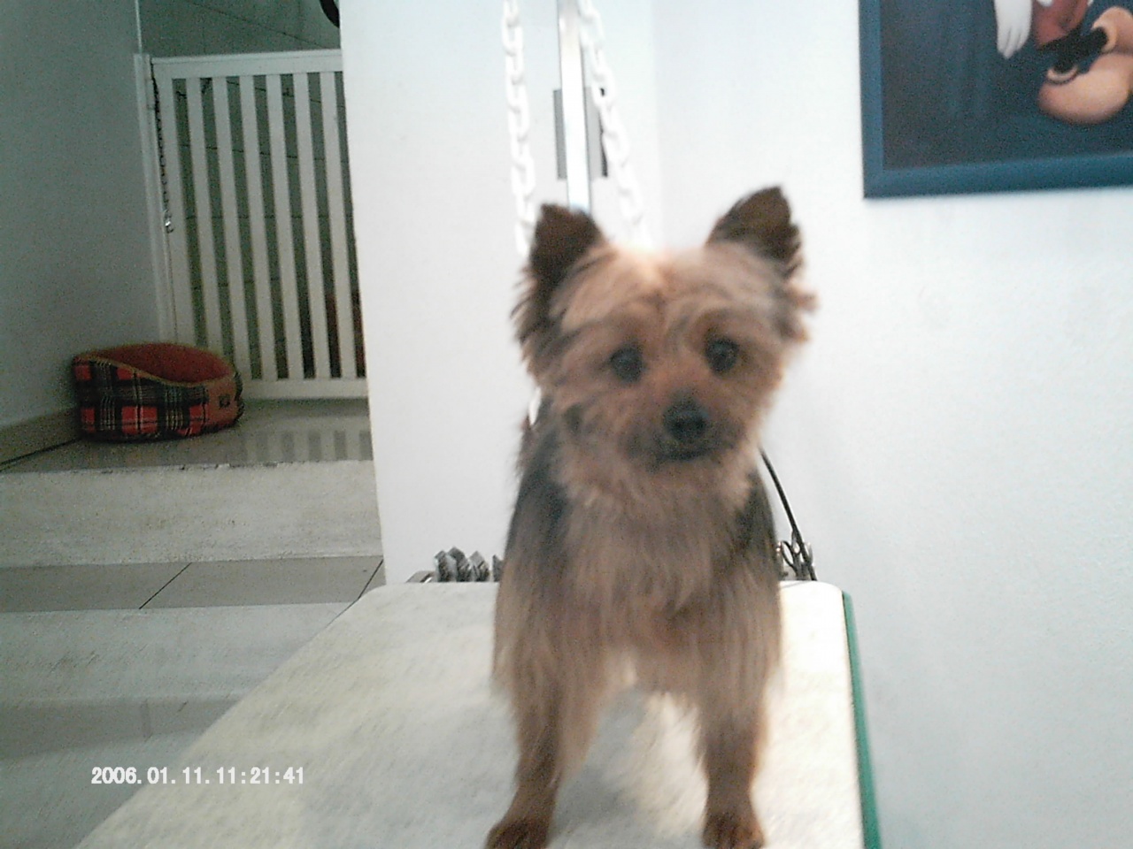 IMAG0029