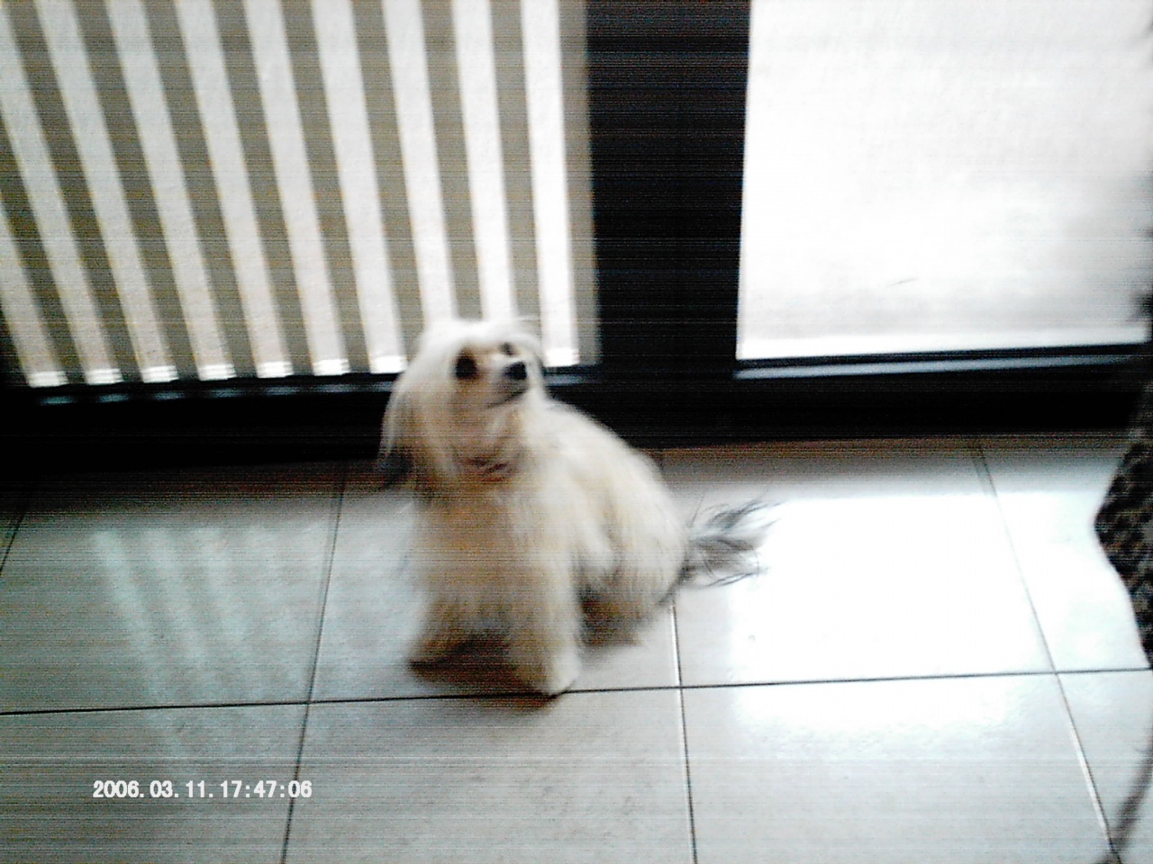 IMAG0030