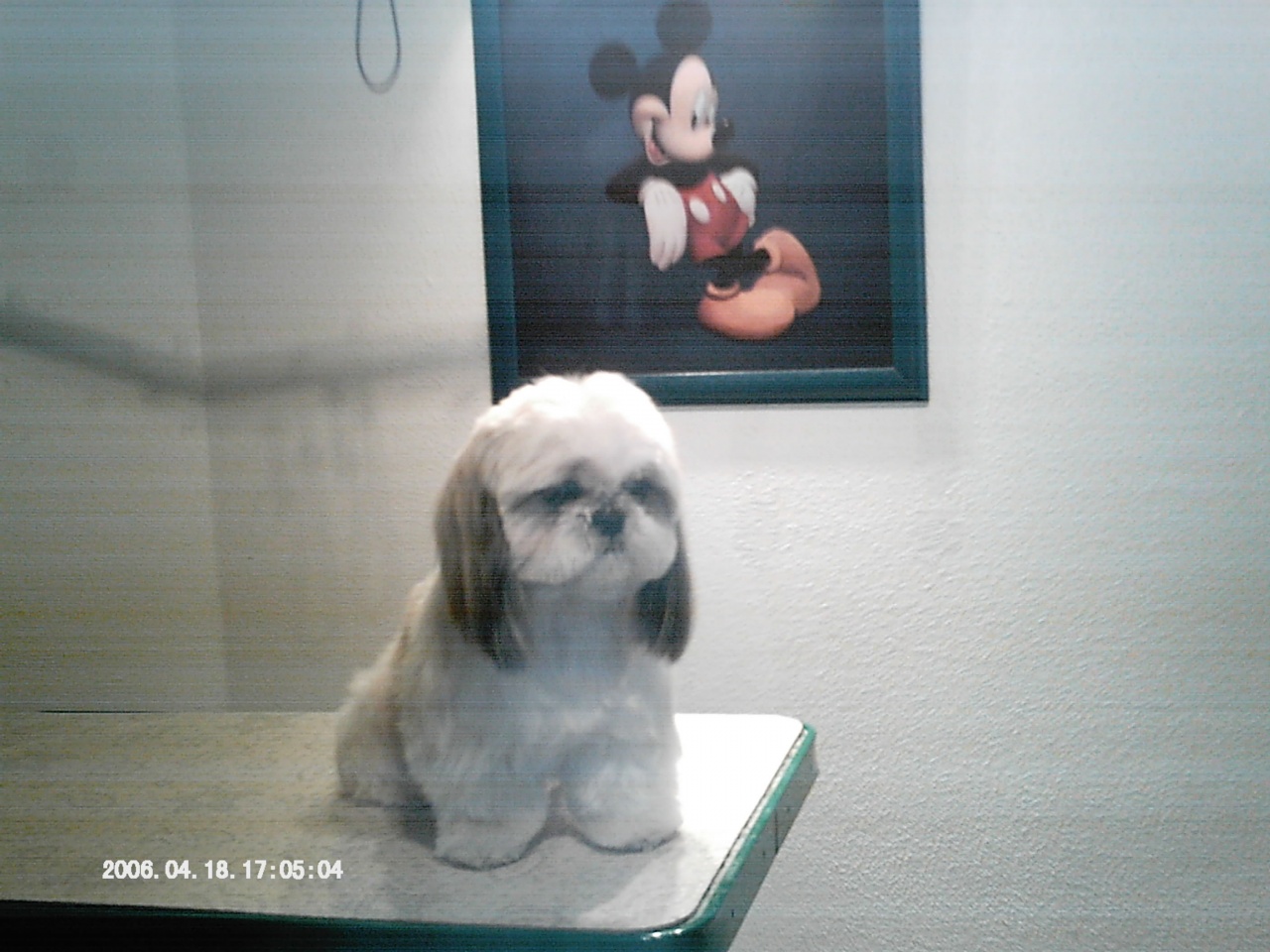 IMAG0031
