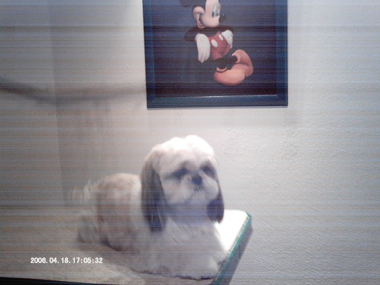 IMAG0033