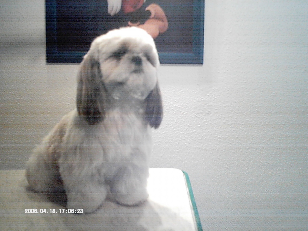 IMAG0035