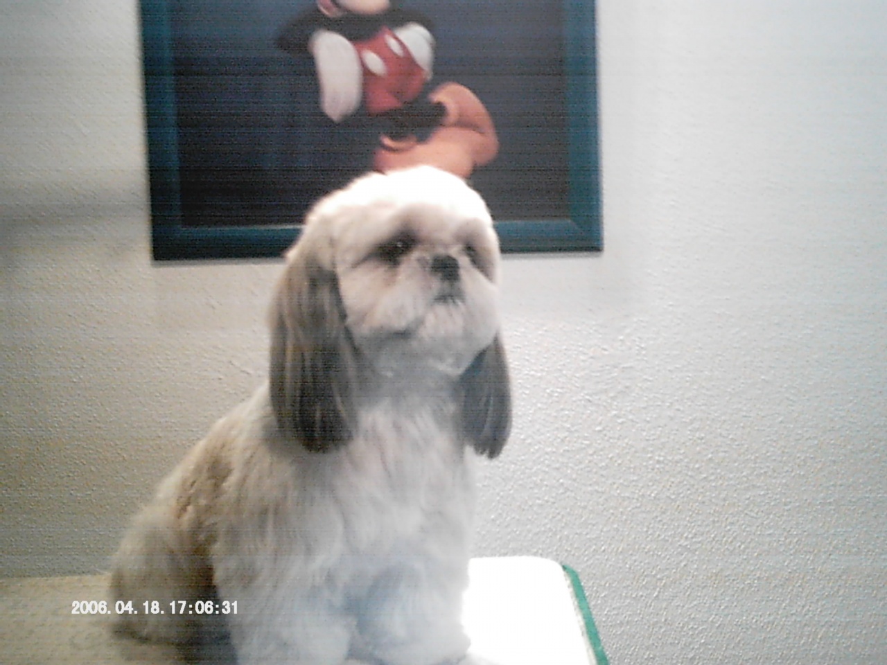 IMAG0036