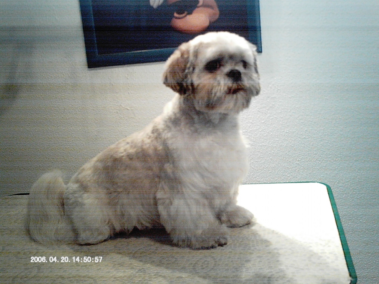 IMAG0045