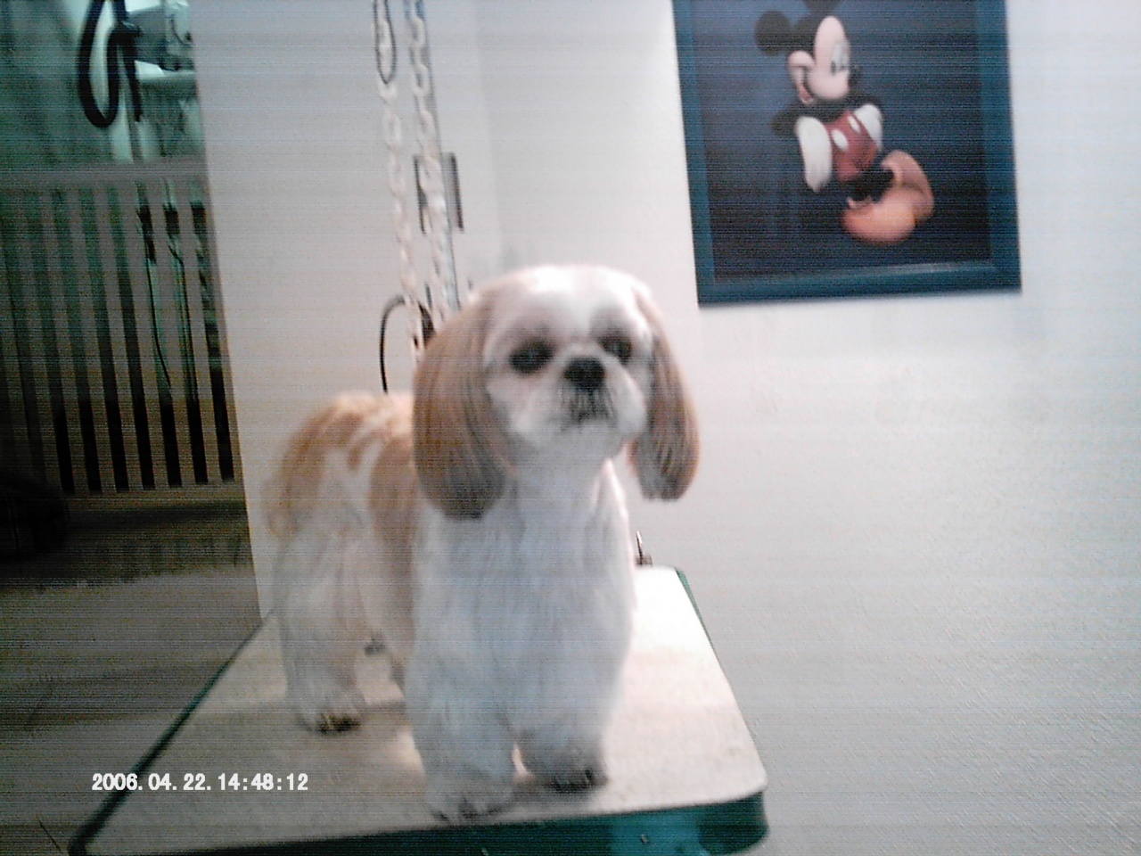 IMAG0047