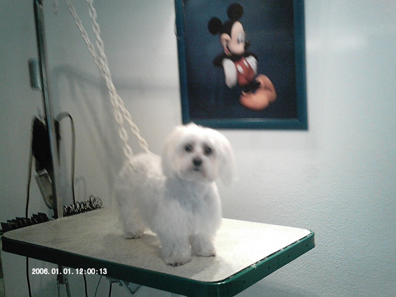 IMAG0053