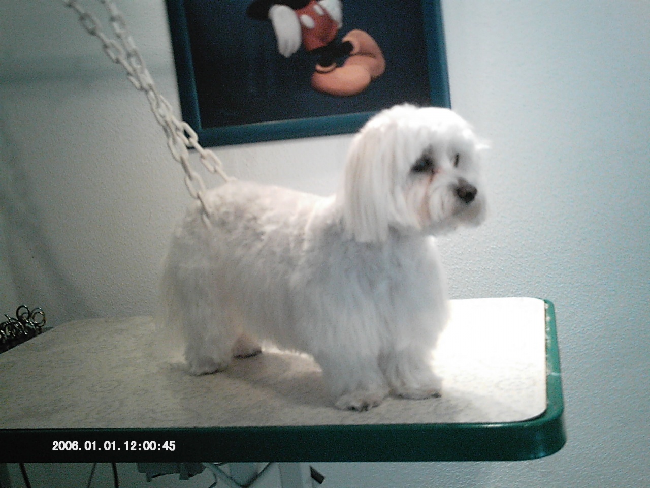 IMAG0056