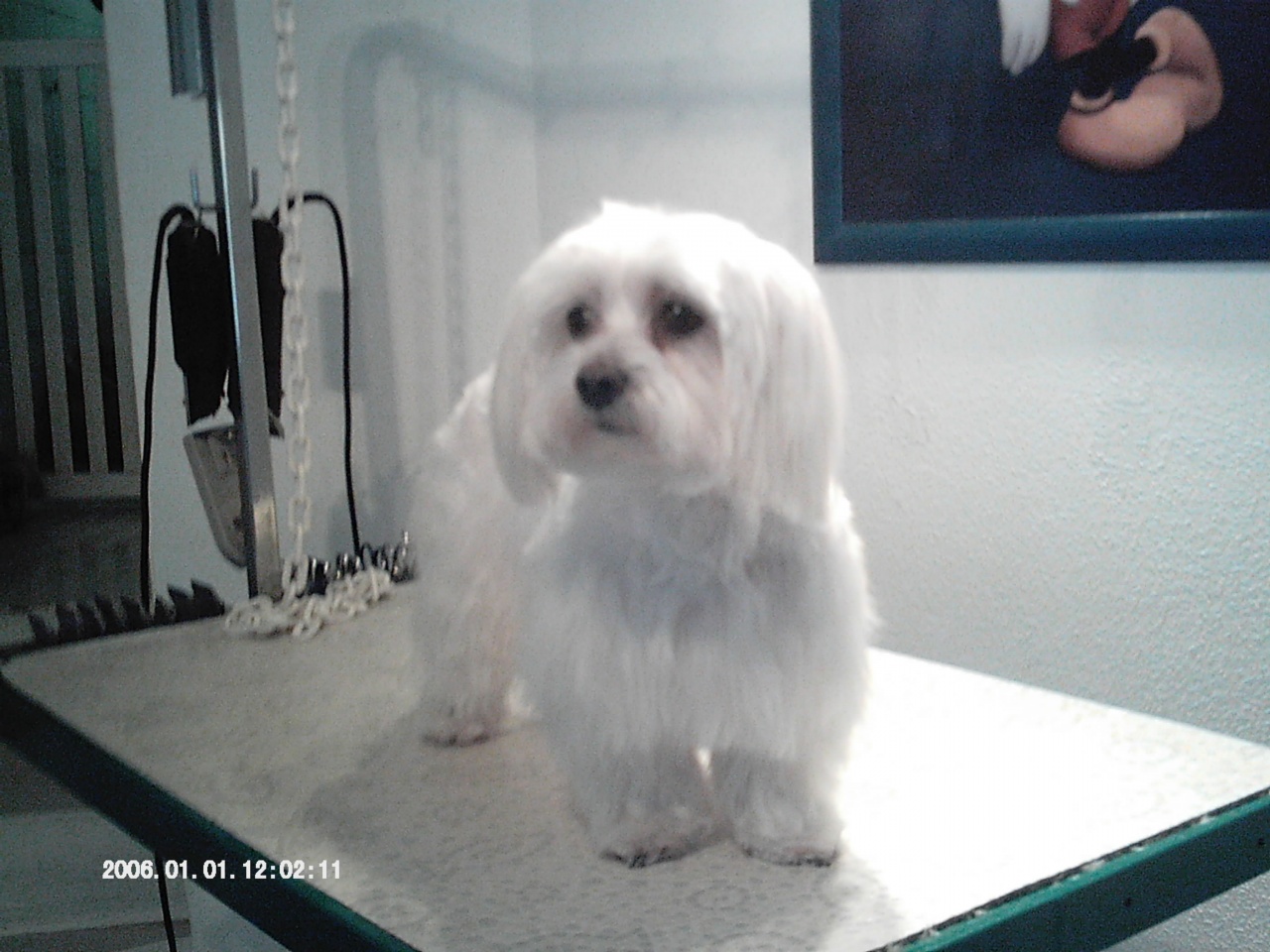 IMAG0058