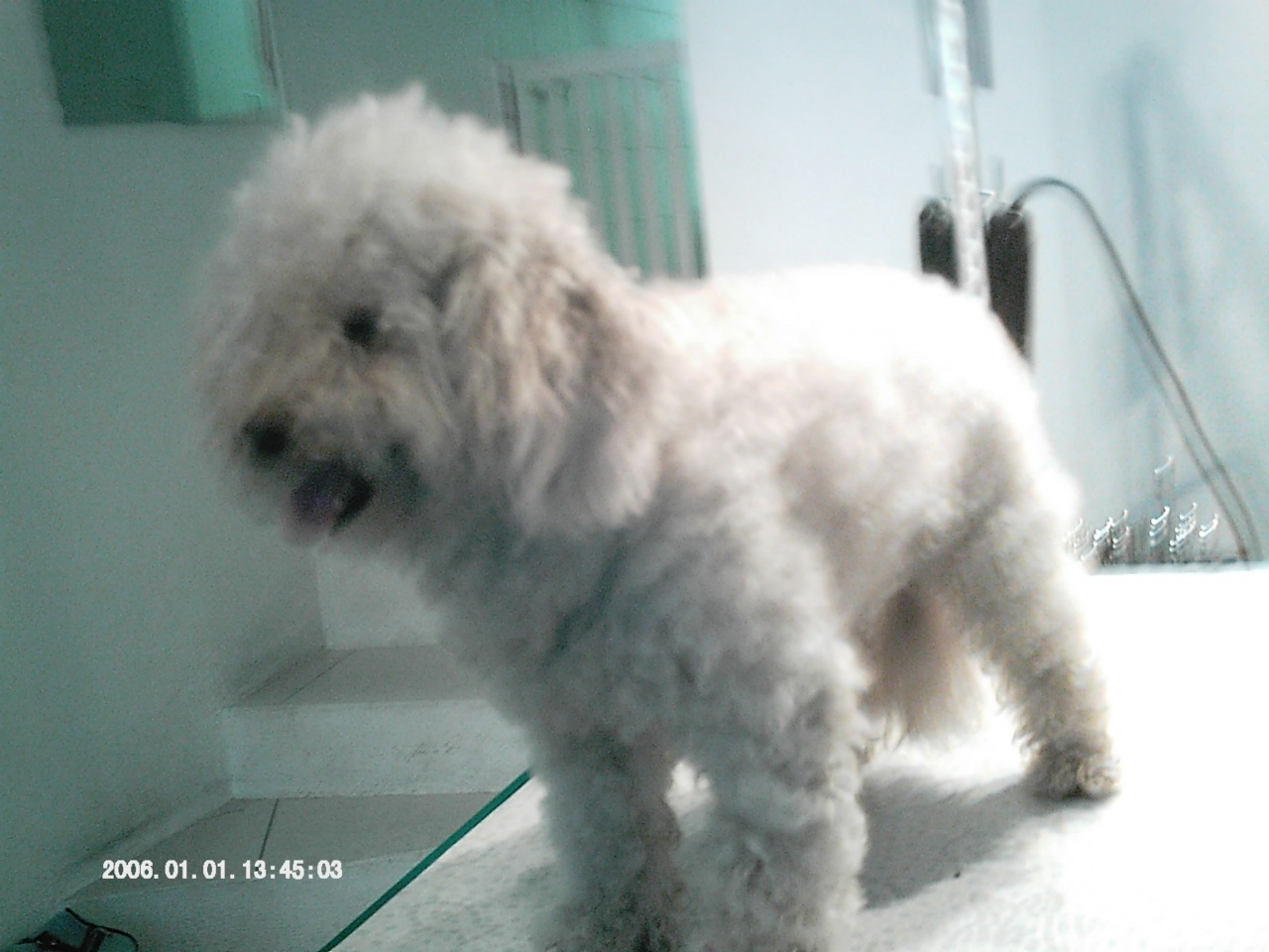 IMAG0062