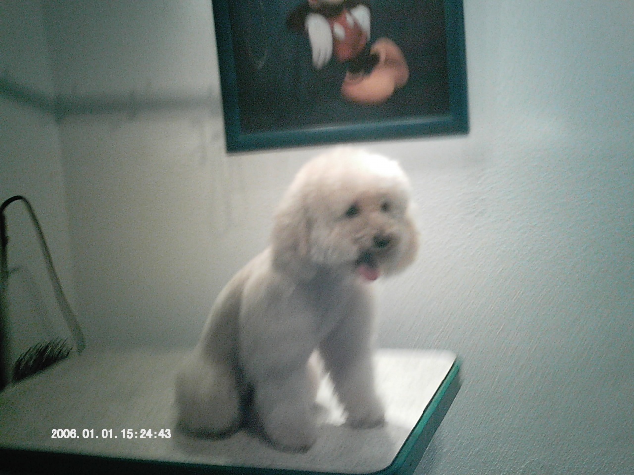 IMAG0063