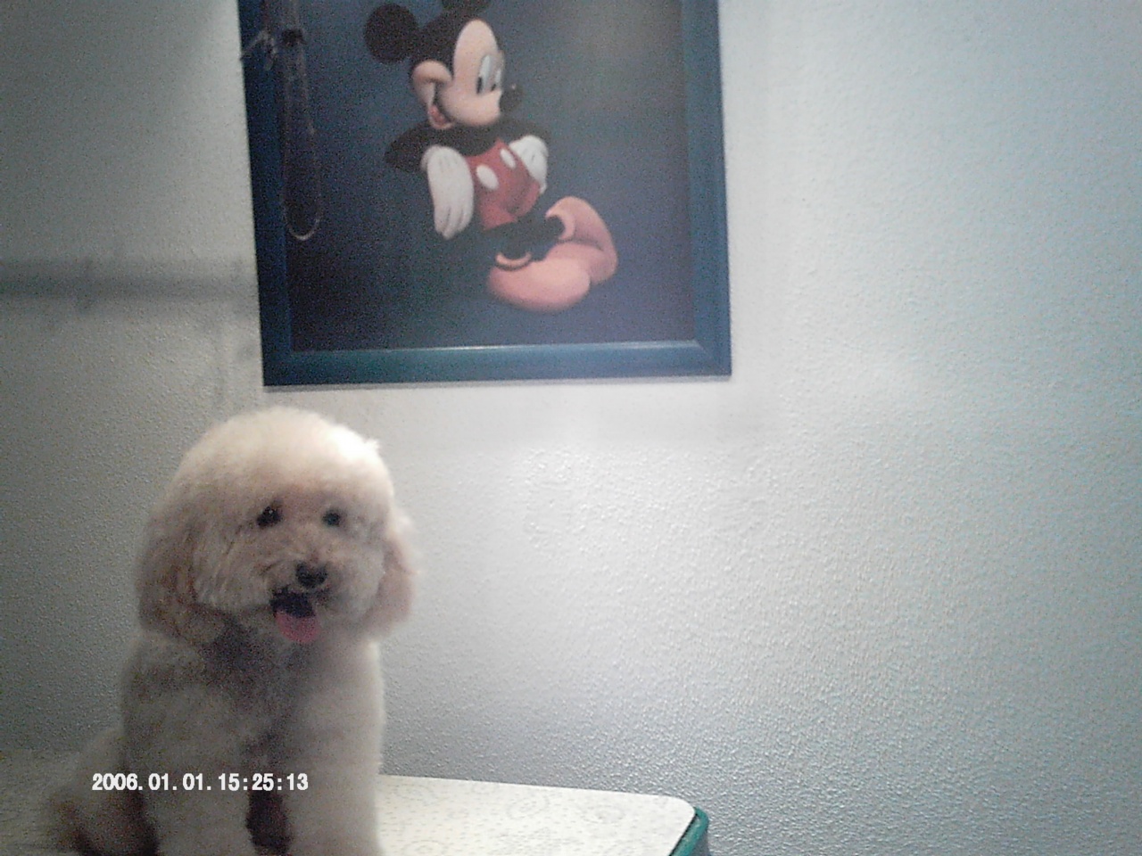 IMAG0065