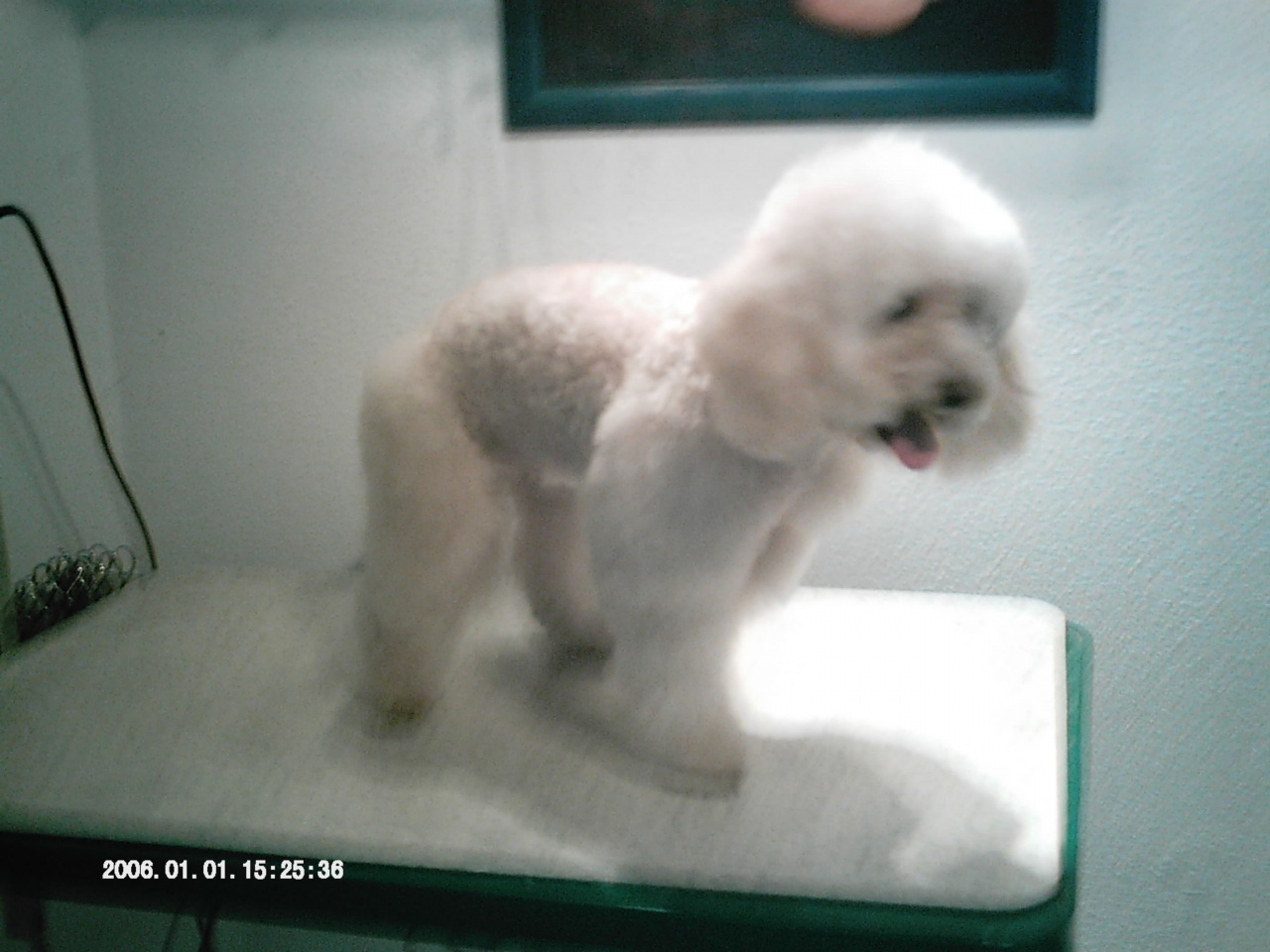 IMAG0066
