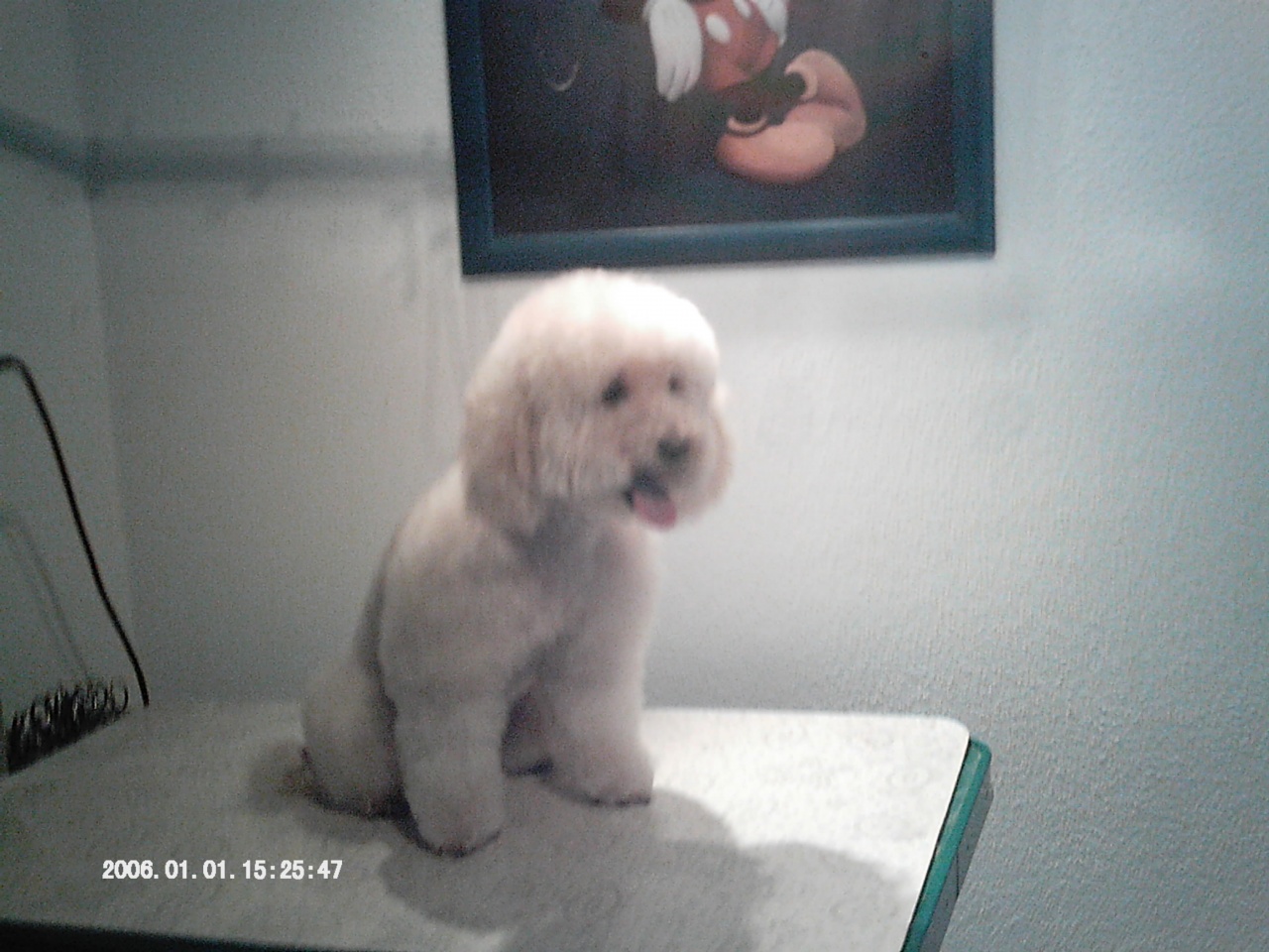 IMAG0067