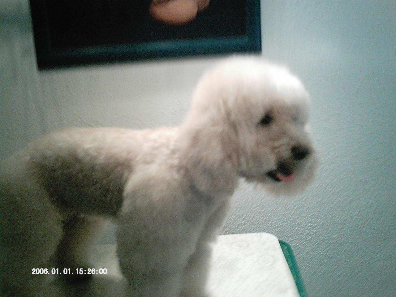 IMAG0068