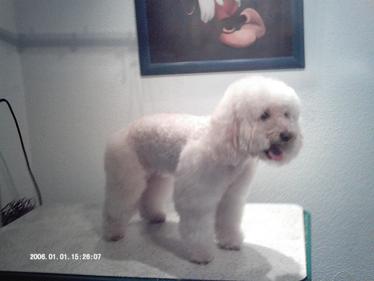 IMAG0069