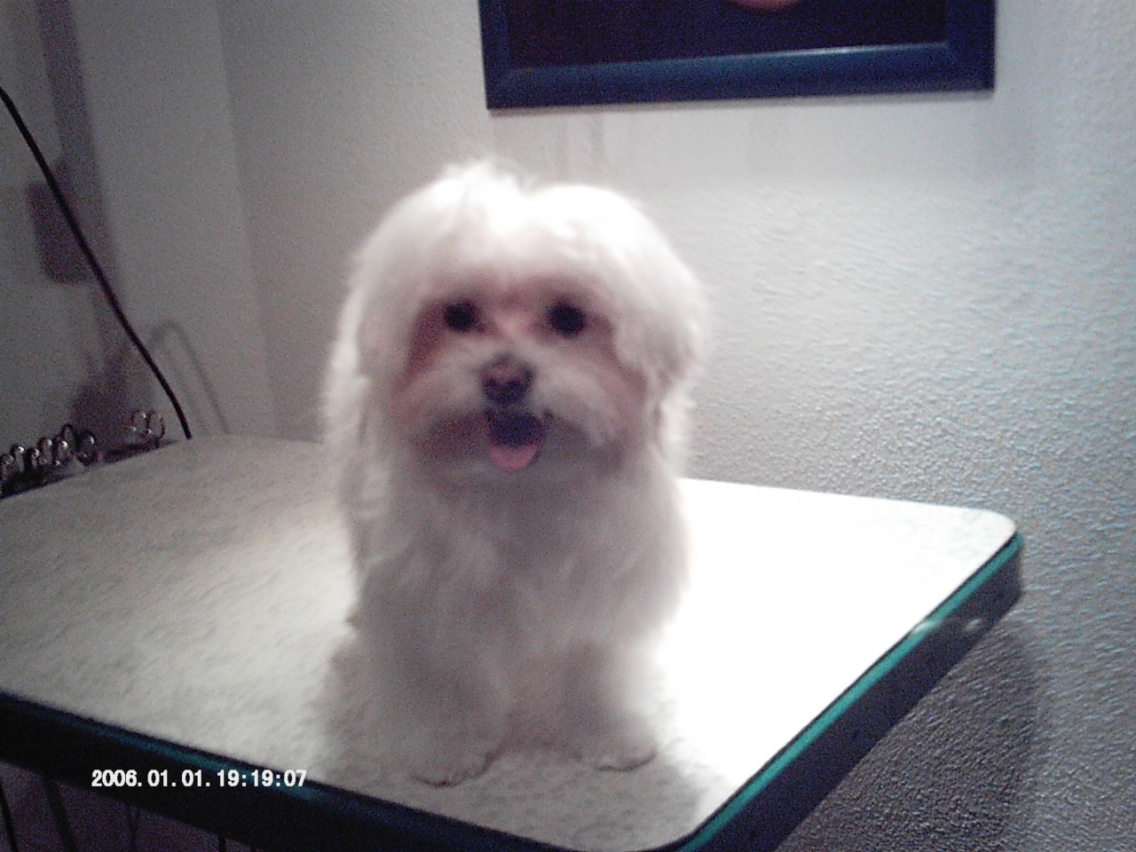IMAG0072