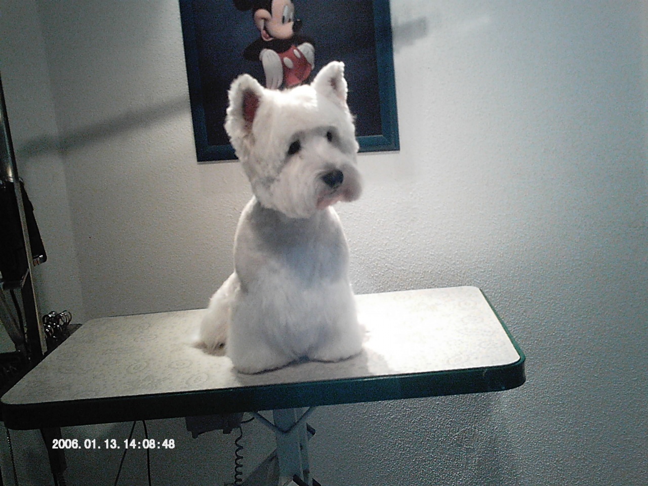 IMAG0099
