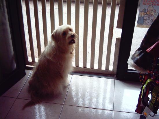 Louna